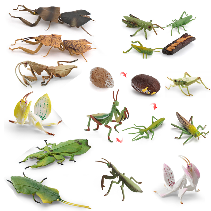 Home Improvement Kids - Realistic Orchid Mantis Dead Leaf Mantis