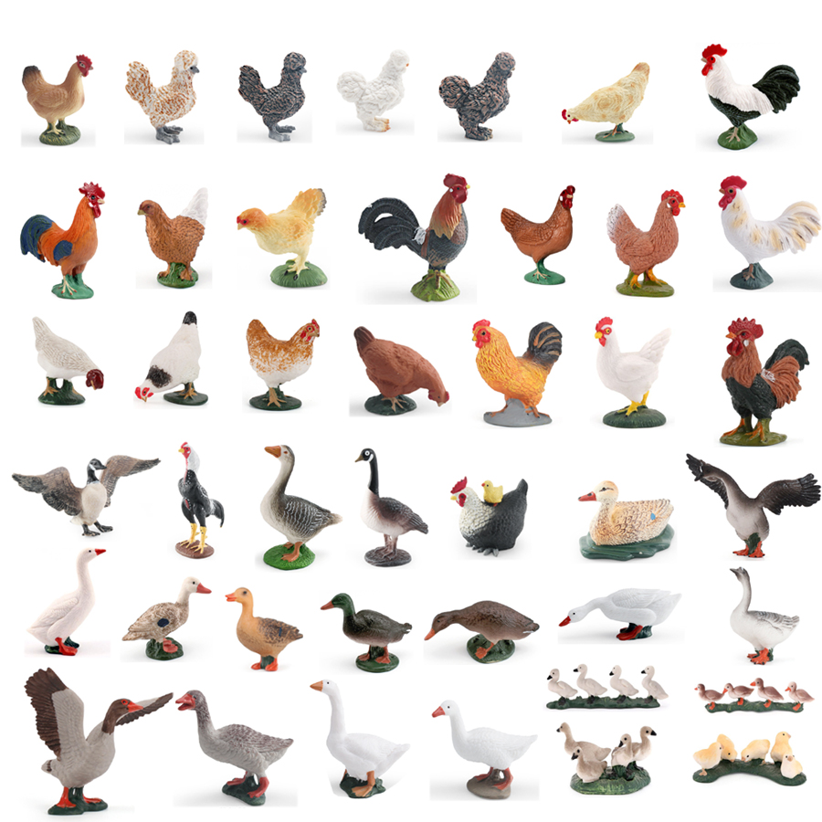 Simulation Farm Poultry Animal - Home Improvement Kids review and price