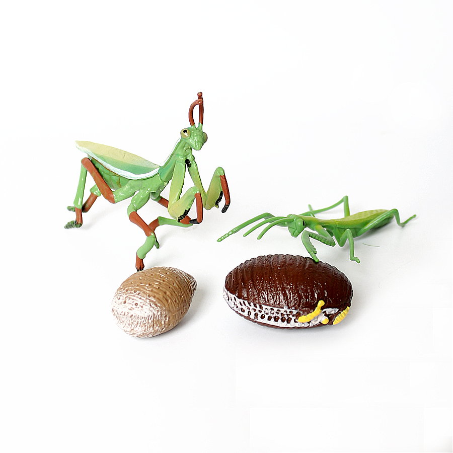 Realistic Orchid Mantis Dead L - Home Improvement Kids review and price